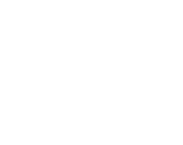 Bar Acordeão em Carvoeiro